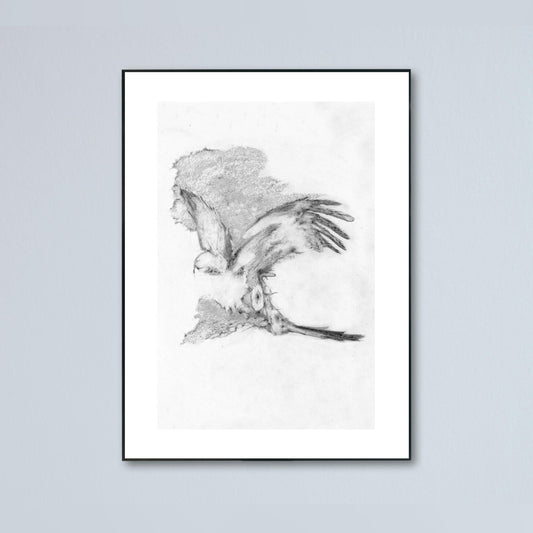 It Started Out As A Red Kite