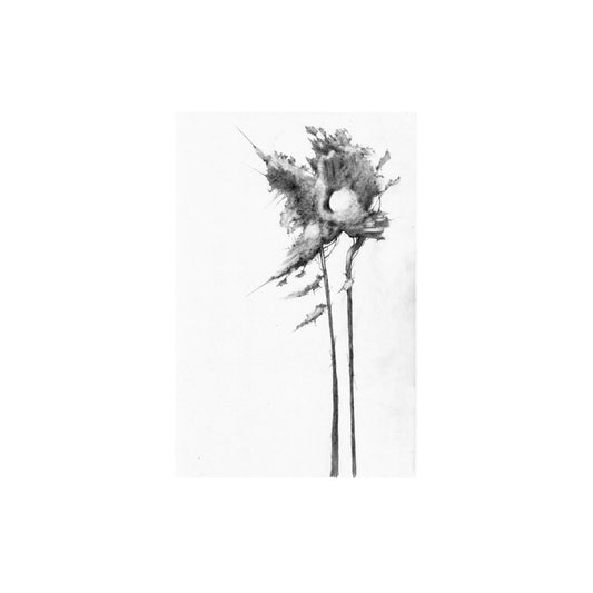 An Endless Scots Pine